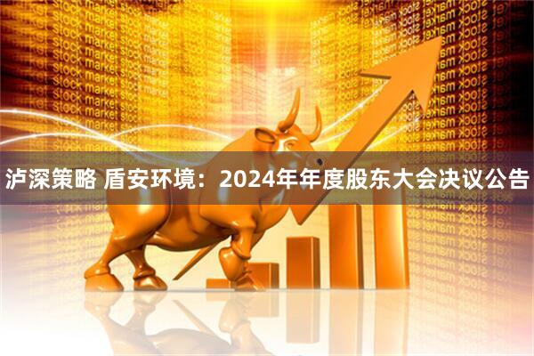 泸深策略 盾安环境：2024年年度股东大会决议公告