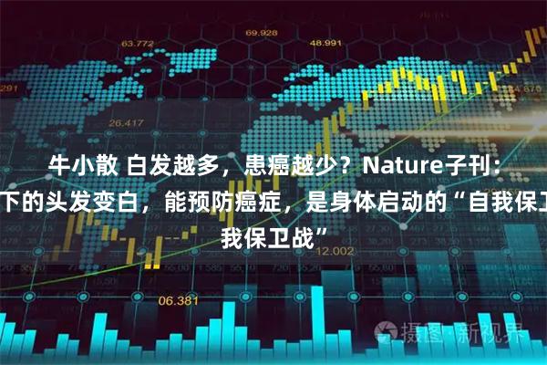 牛小散 白发越多，患癌越少？Nature子刊：压力下的头发变白，能预防癌症，是身体启动的“自我保卫战”