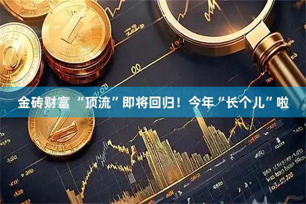 金砖财富 “顶流”即将回归！今年“长个儿”啦
