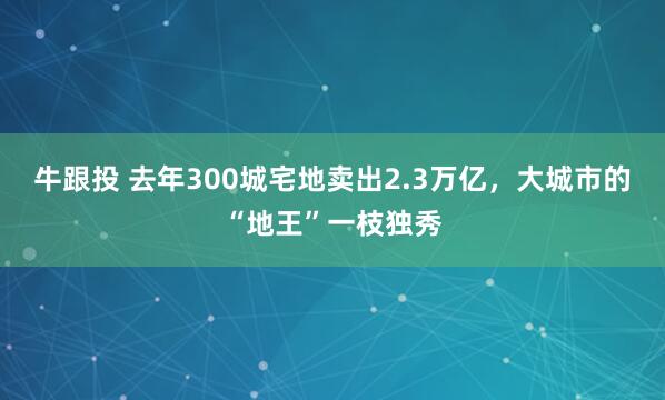 牛跟投 去年300城宅地卖出2.3万亿，大城市的“地王”一枝独秀