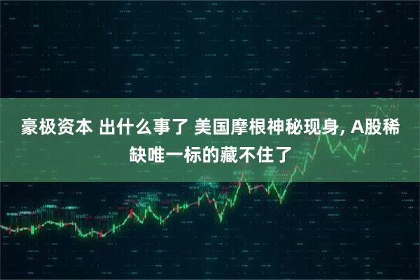 豪极资本 出什么事了 美国摩根神秘现身, A股稀缺唯一标的藏不住了