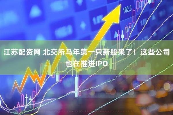江苏配资网 北交所马年第一只新股来了！这些公司也在推进IPO