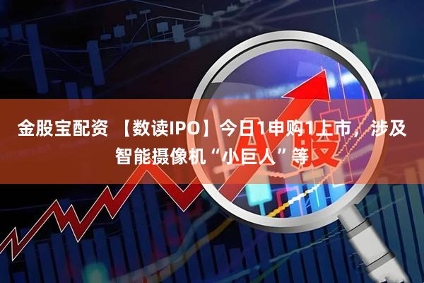 金股宝配资 【数读IPO】今日1申购1上市，涉及智能摄像机“小巨人”等